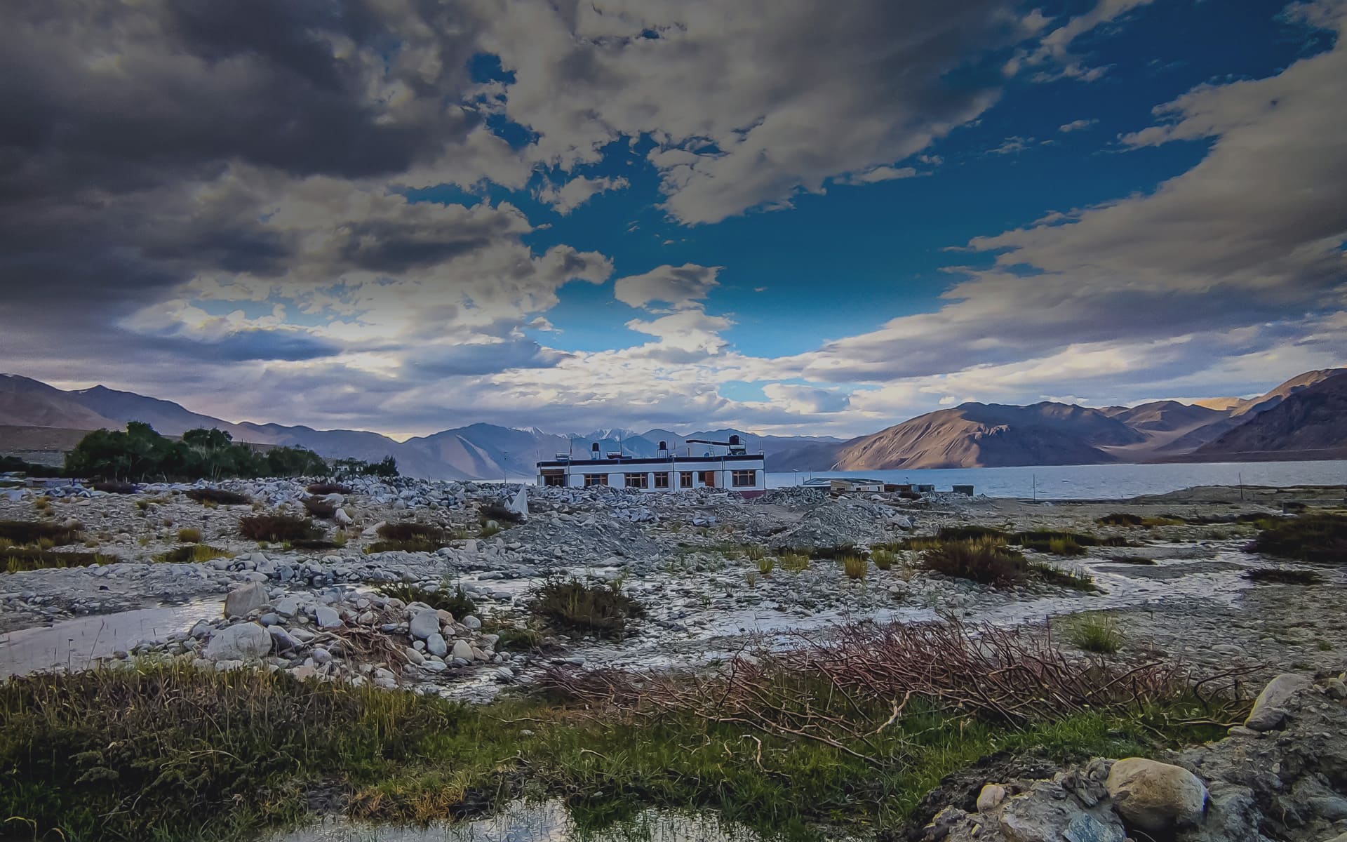 Pangong Nest