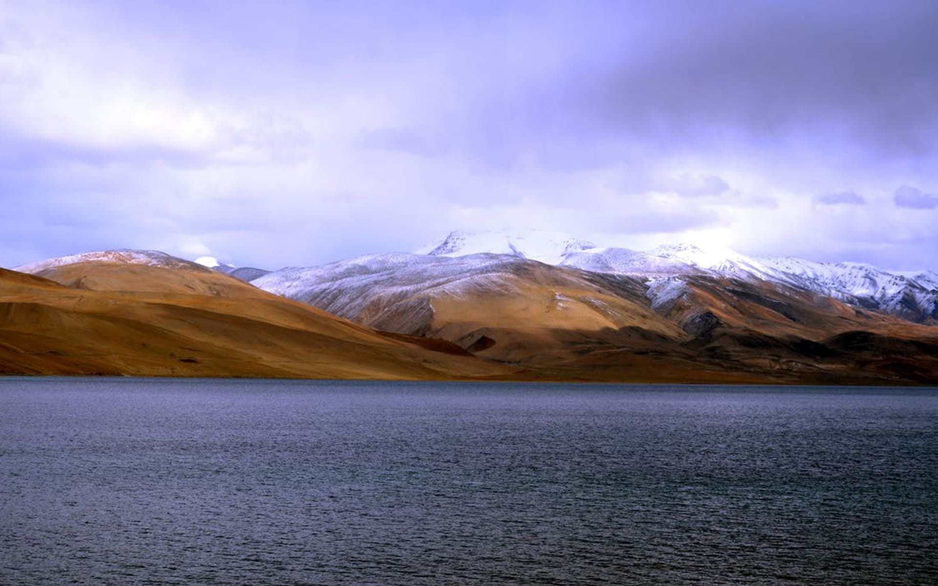 Pangong Nest