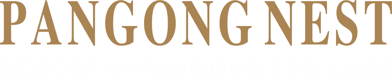 Pangong Nest
