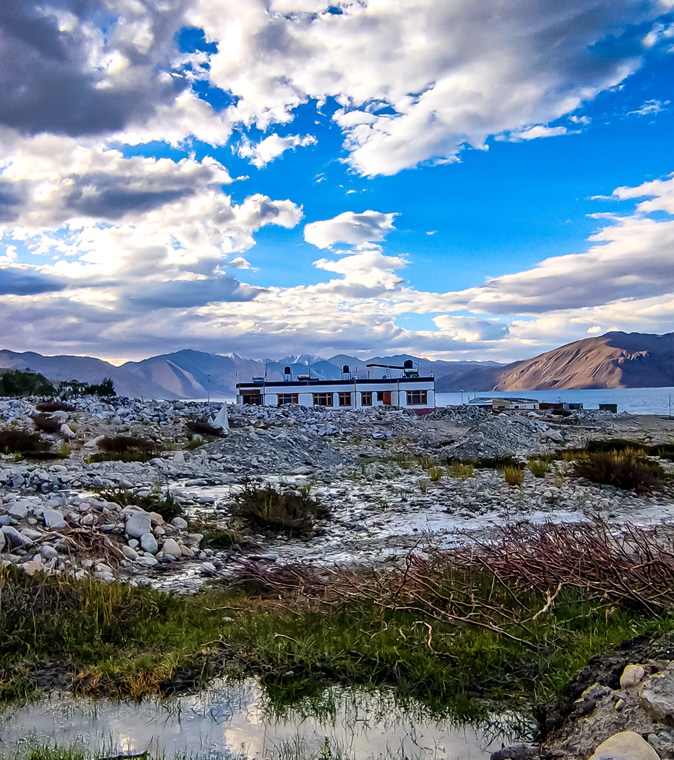 Pangong Nest